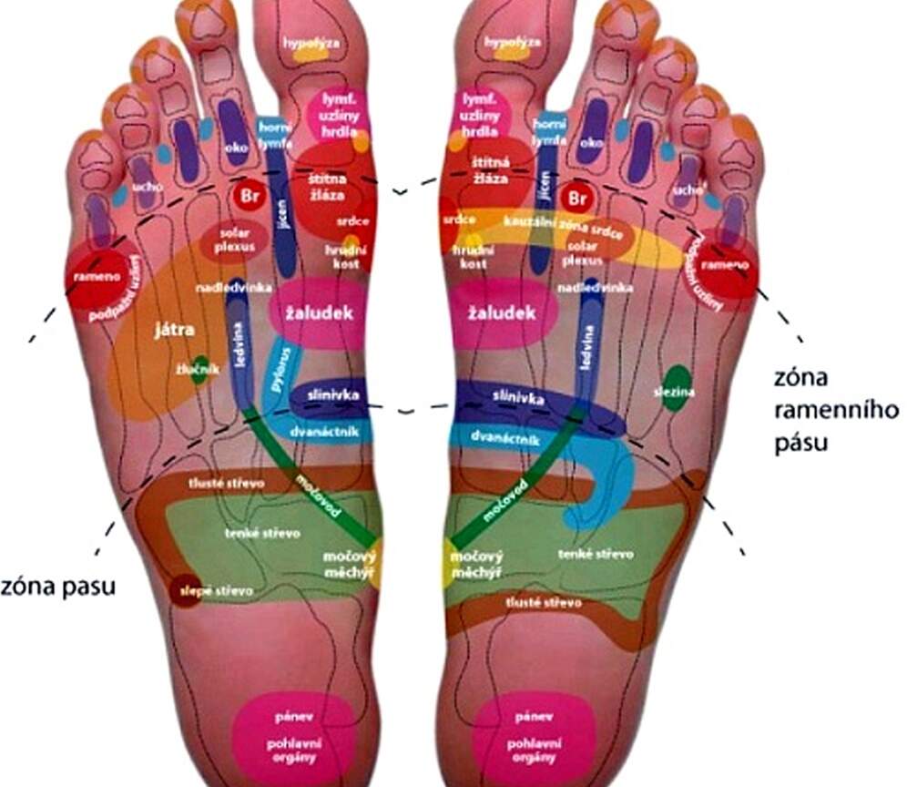 Reflexologie plosky nohy II – vnitřní orgány a diagnostika
