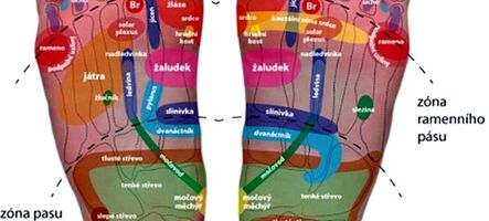 Reflexologie plosky nohy II – vnitřní orgány a diagnostika